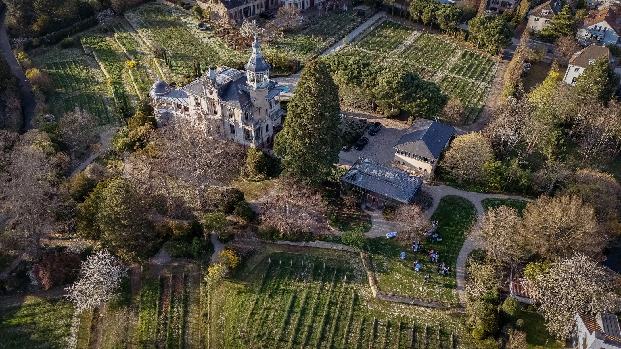 Dinner & Wine April 2025 Event