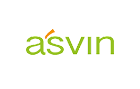 asvin.io